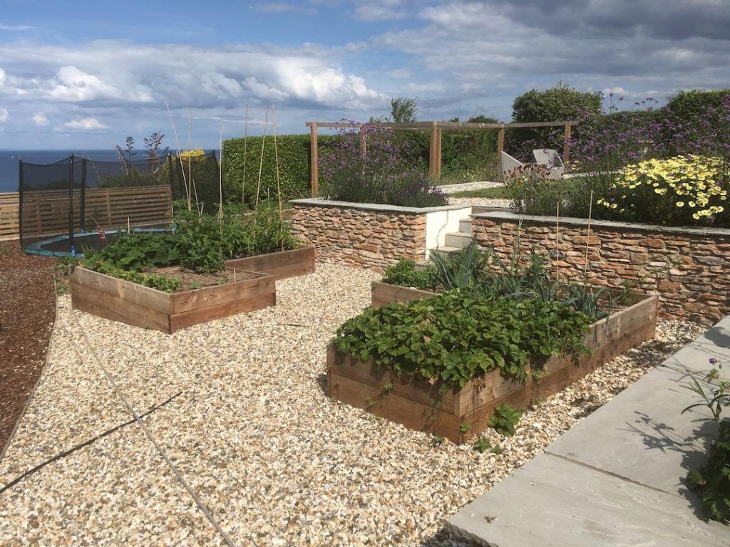 Raised Beds For Growing Vegetables